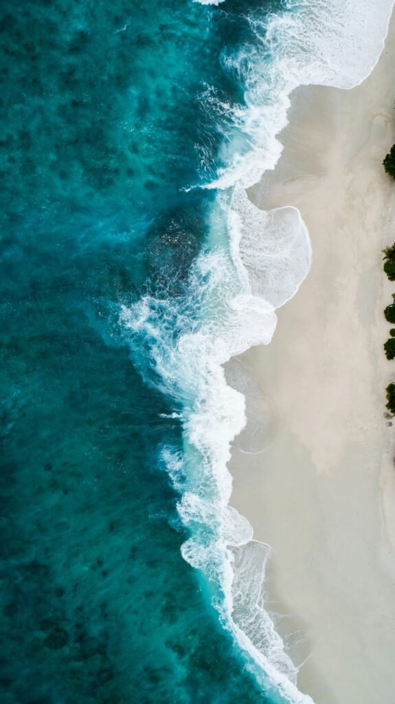 PRUEBA Sirenas de Ensueño: fondo del mar